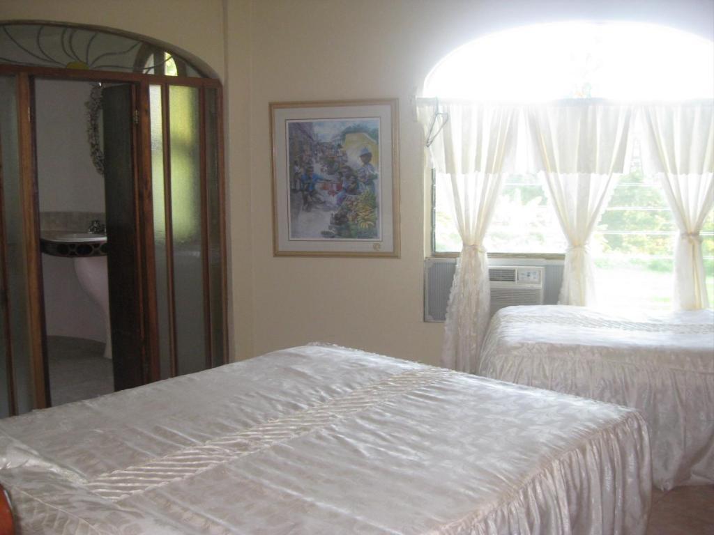 Banana Bank Lodge & Jungle Horseback Adventures بلموبان الغرفة الصورة